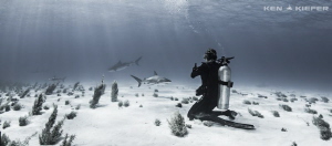 My wife appears very Zen-like while shooting video of sha... by Ken Kiefer 